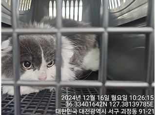 대전동물보호센터_430366202400846